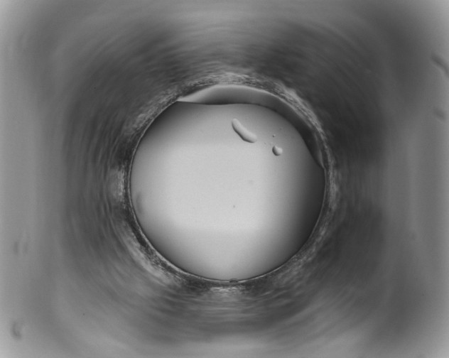 X0000099960057200806131519