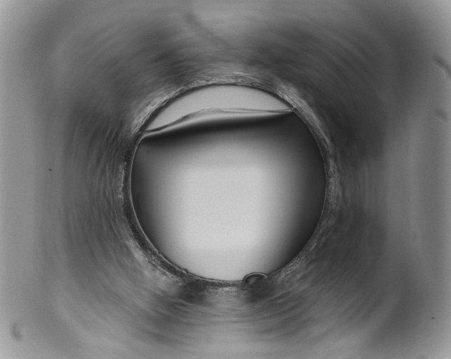 X0000099960058200806131519