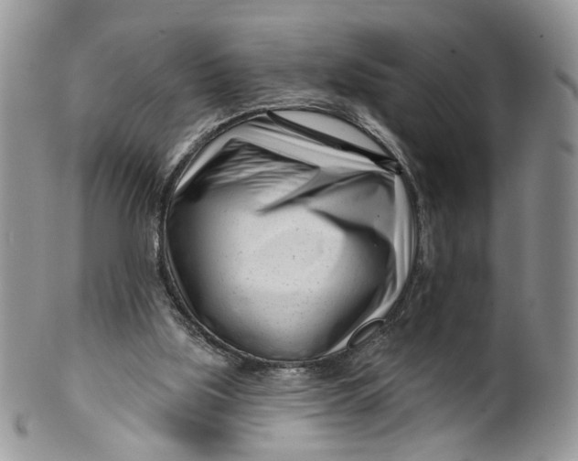 X0000099960059200806131519