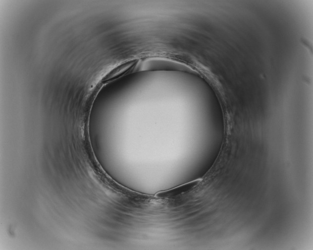 X0000099960060200806131519