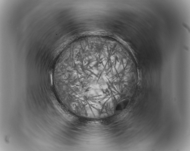 X0000099960061200806131519