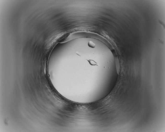 X0000099960062200806131519