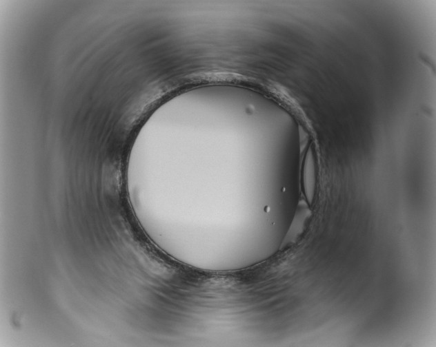 X0000099960063200806131519