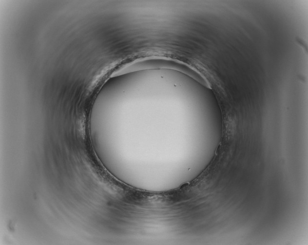 X0000099960064200806131519