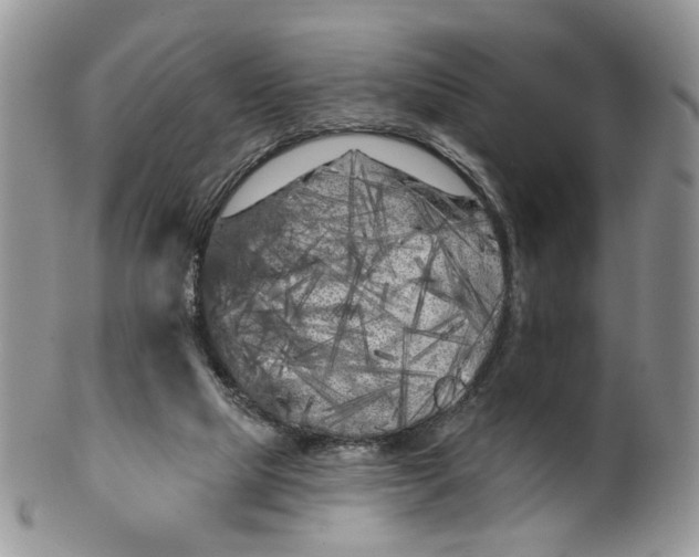 X0000099960065200806131519