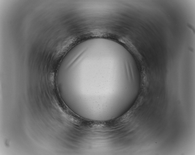 X0000099960066200806131519