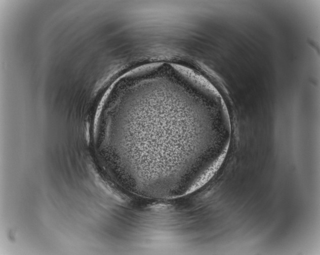 X0000099960067200806131519