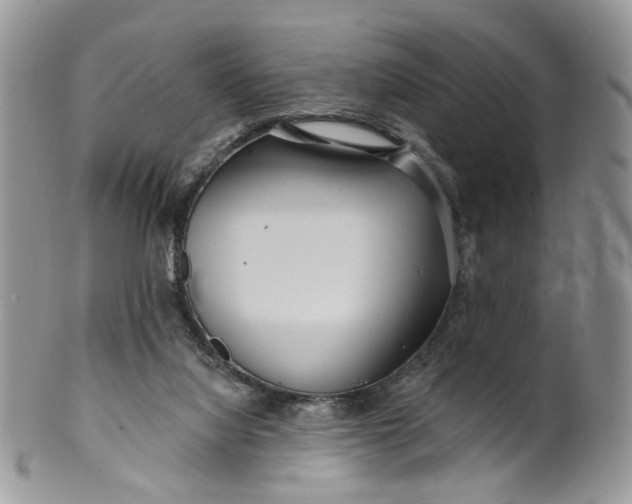 X0000099960068200806131519