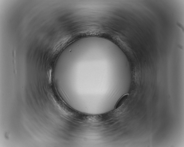 X0000099960070200806131519