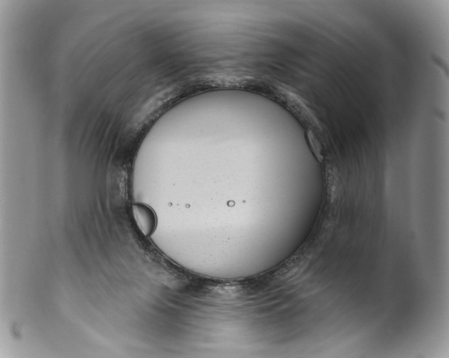 X0000099960071200806131519