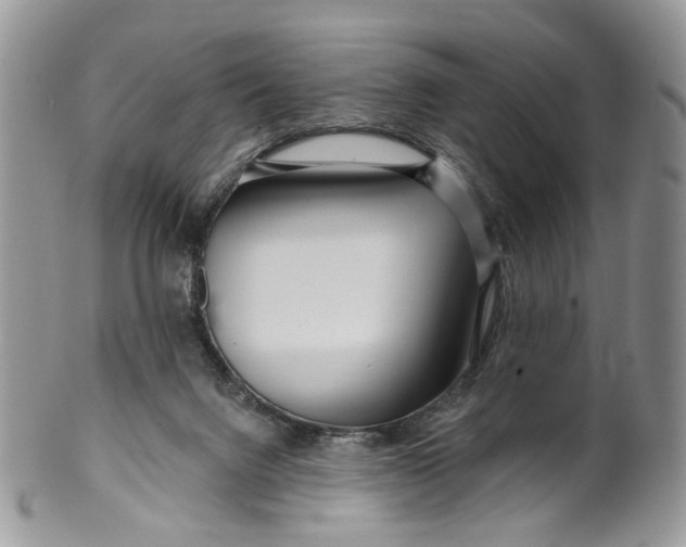 X0000099960072200806131519