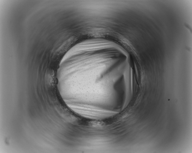 X0000099960073200806131519