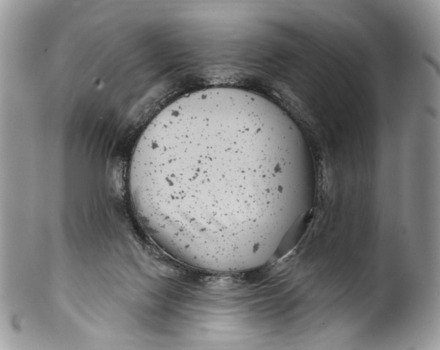 X0000099960074200806131519