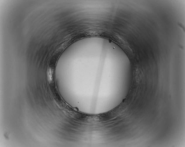 X0000099960075200806131519