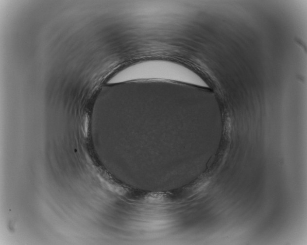 X0000099960076200806131519