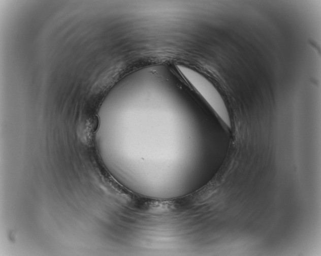 X0000099960077200806131519