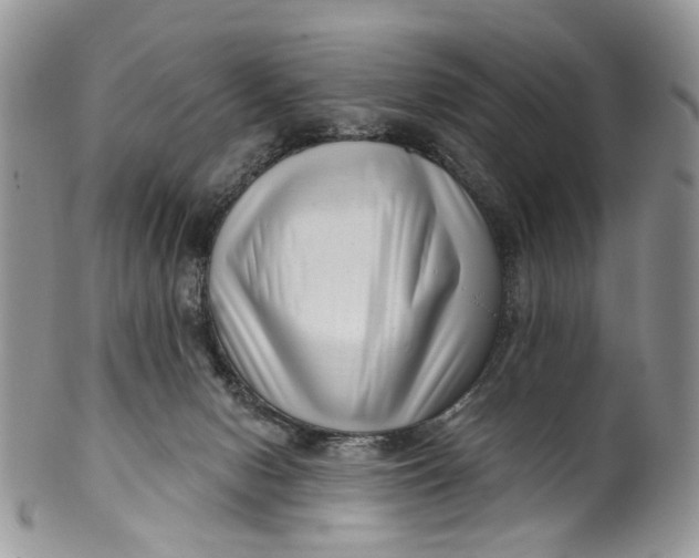 X0000099960078200806131519