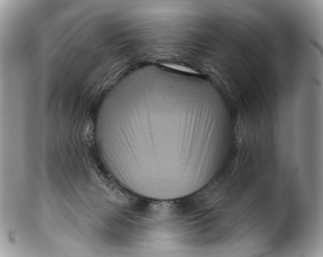 X0000099960079200806131519