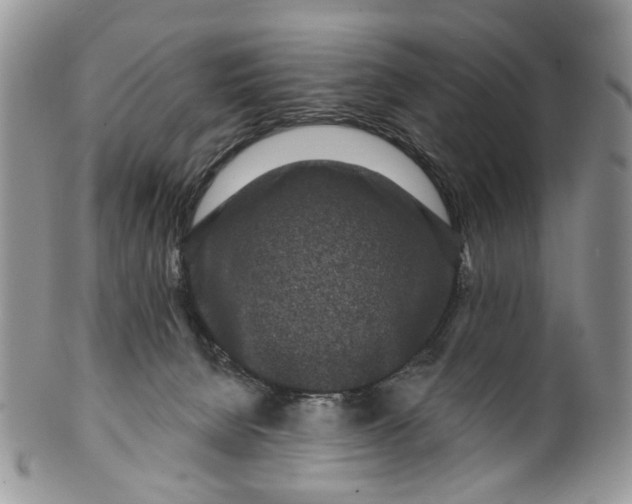 X0000099960080200806131519