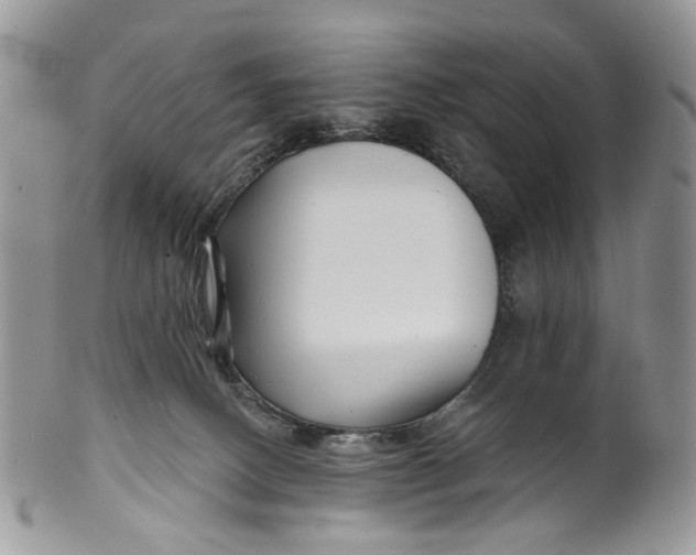 X0000099960082200806131519