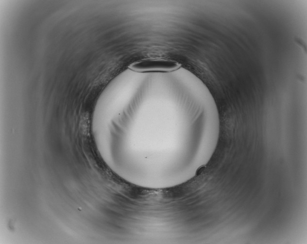 X0000099960083200806131519