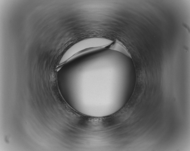 X0000099960084200806131519