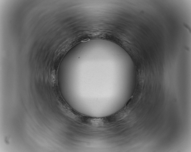 X0000099960085200806131519