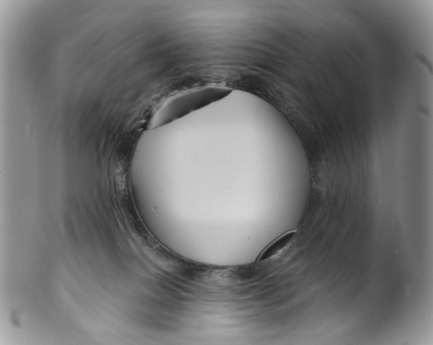 X0000099960086200806131519