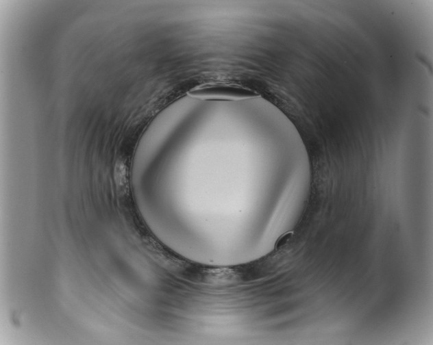 X0000099960087200806131519