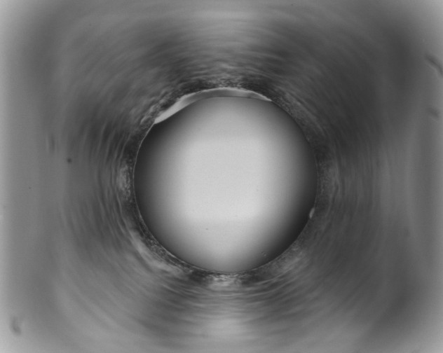 X0000099960088200806131519