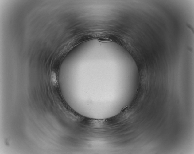 X0000099960089200806131519