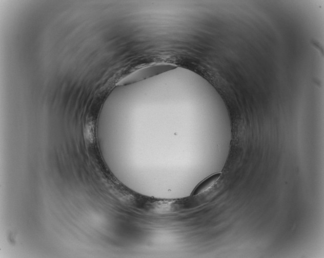 X0000099960090200806131519