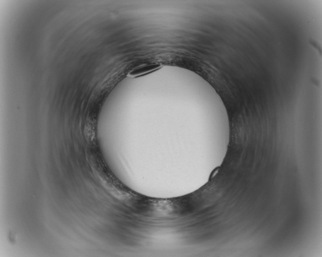 X0000099960091200806131519