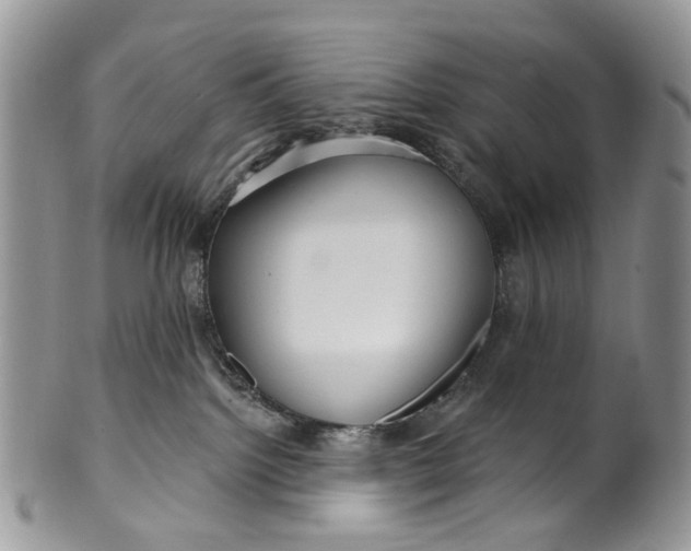 X0000099960092200806131519