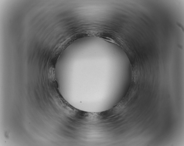 X0000099960093200806131519