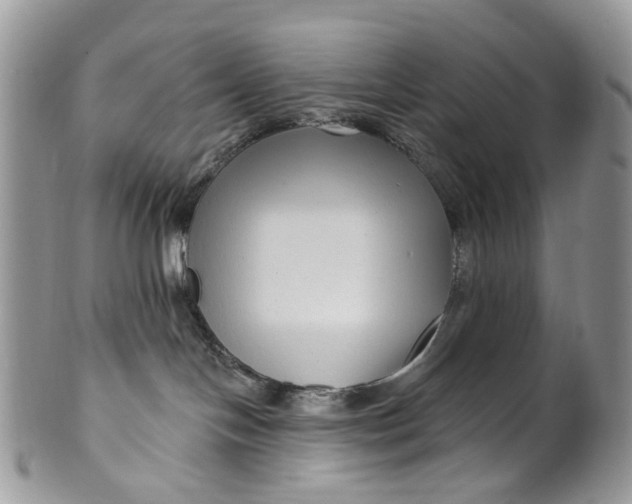 X0000099960094200806131519