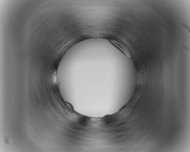 X0000099960095200806131519