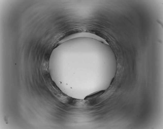 X0000099960096200806131519