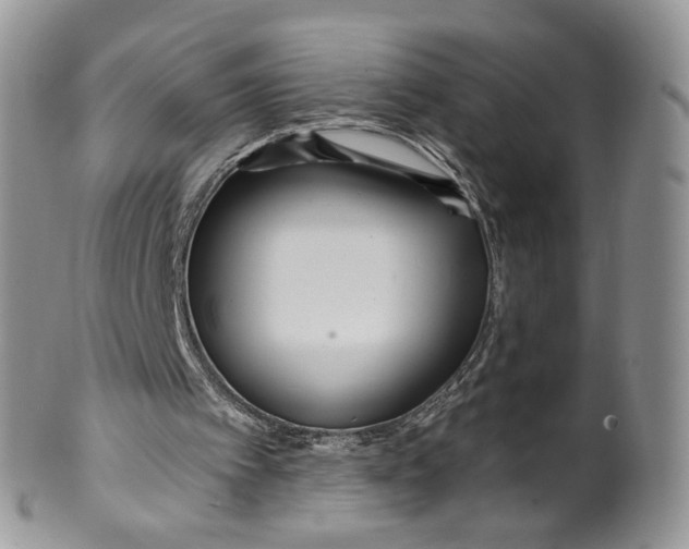 X0000099960097200806131519