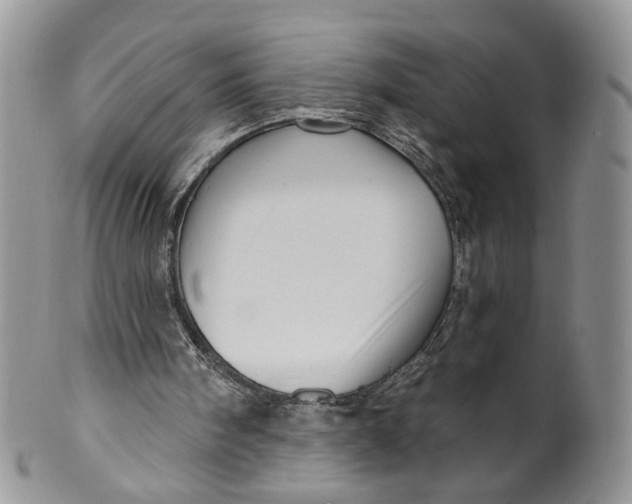 X0000099960098200806131519