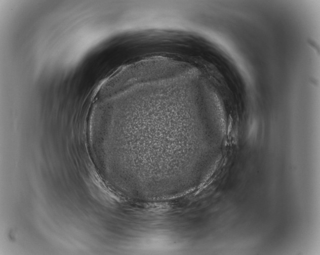 X0000099960099200806131519