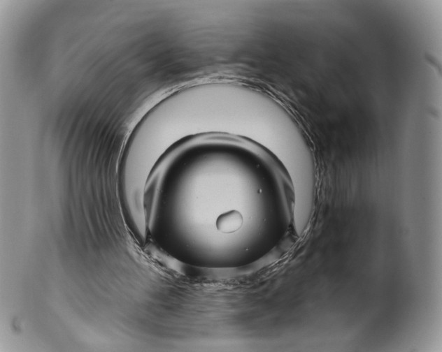 X0000099960100200806131519