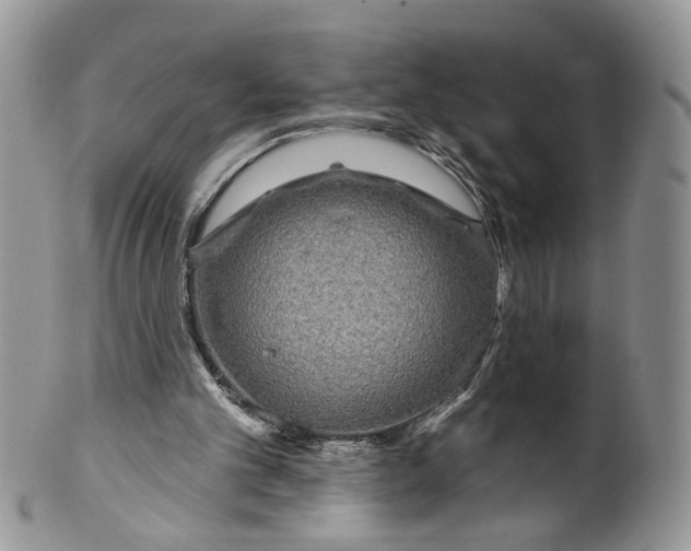 X0000099960101200806131519