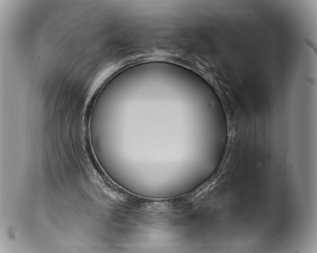 X0000099960102200806131519