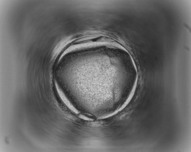 X0000099960103200806131519