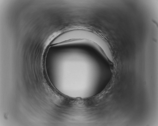 X0000099960104200806131519