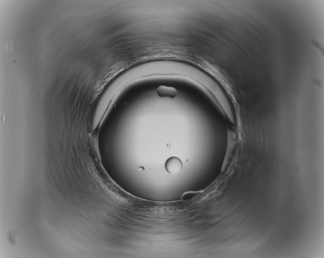 X0000099960105200806131519