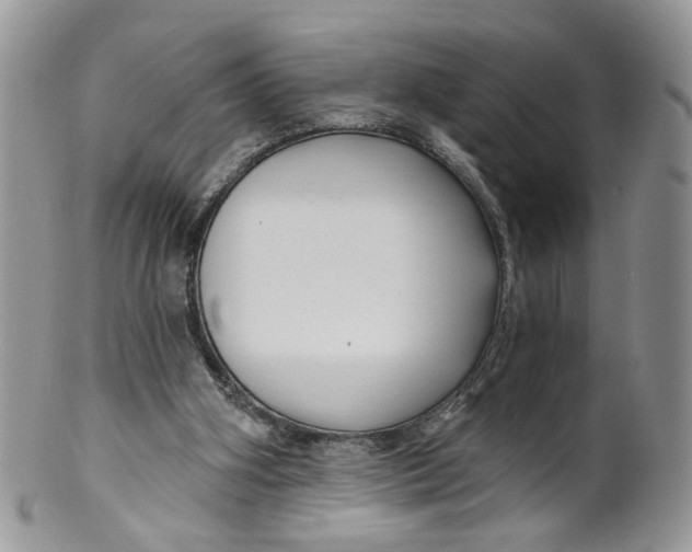 X0000099960106200806131519