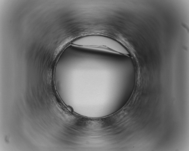 X0000099960107200806131519