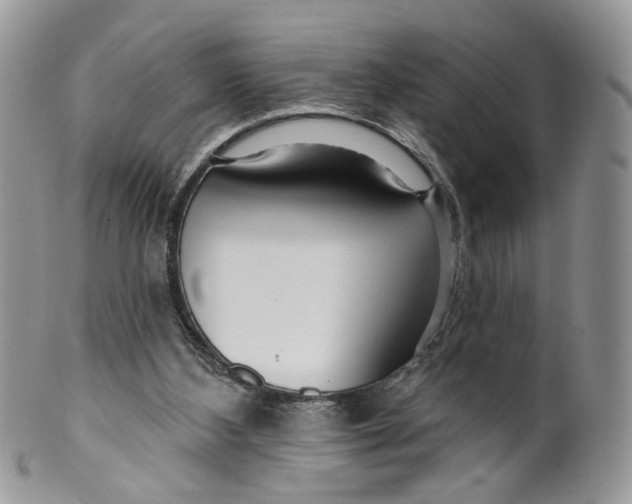 X0000099960108200806131519